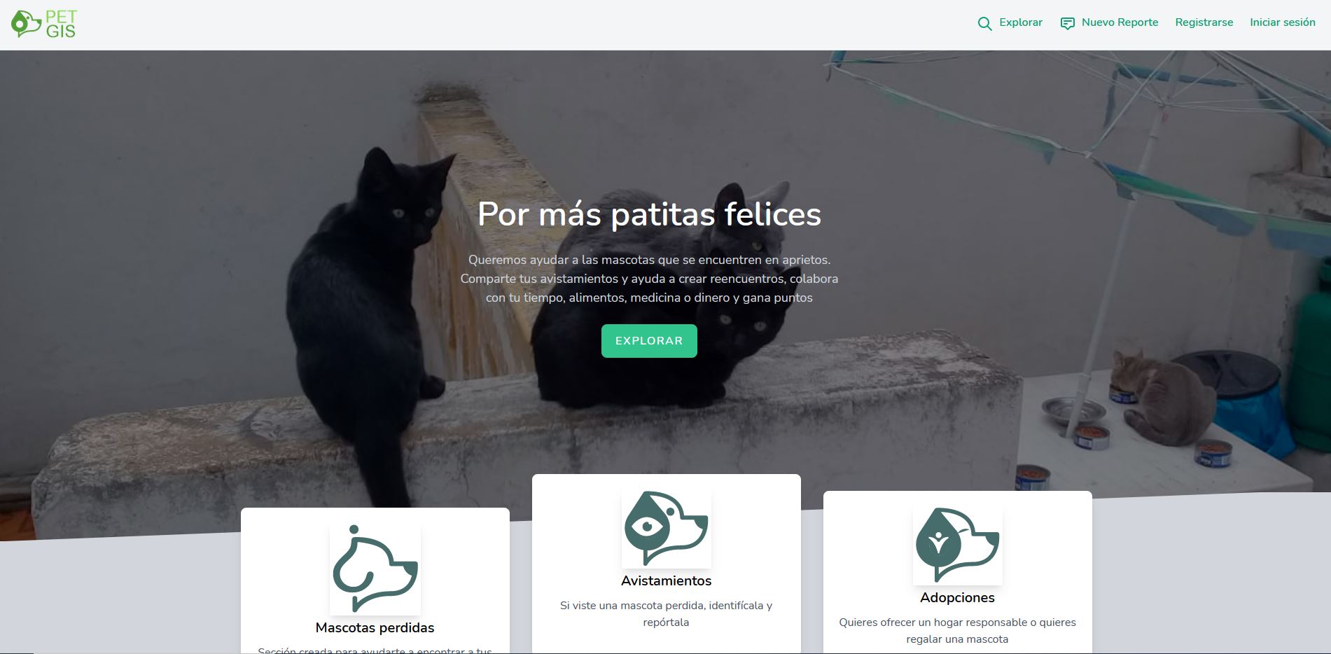 PETGIS